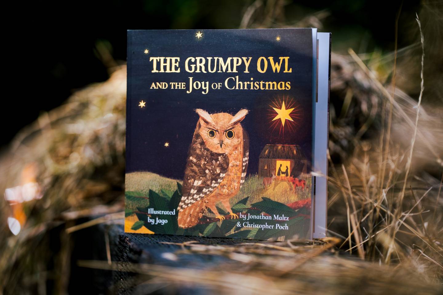 The Grumpy Owl and the Joy of Christmas book. Church House Publishing