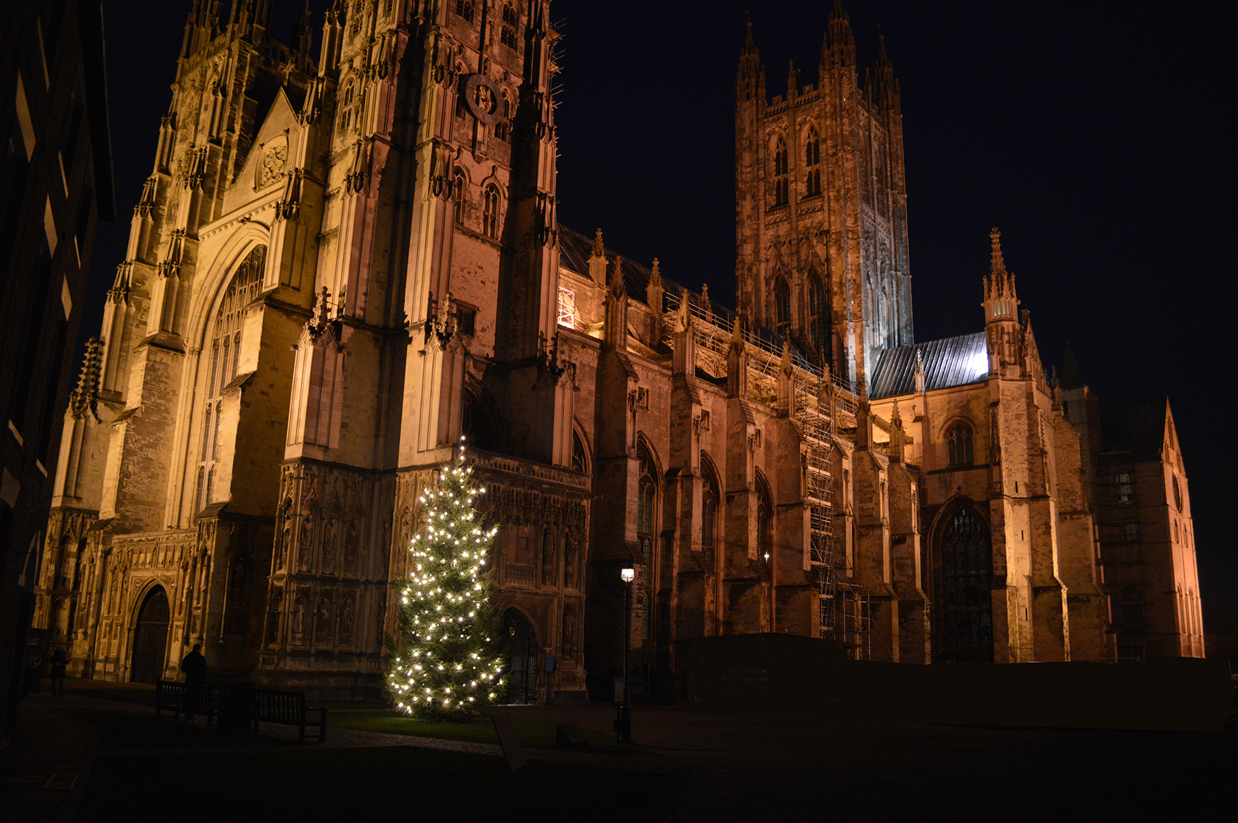 Canterbury Cathedral at night, uplit with Christmas tree in foreground