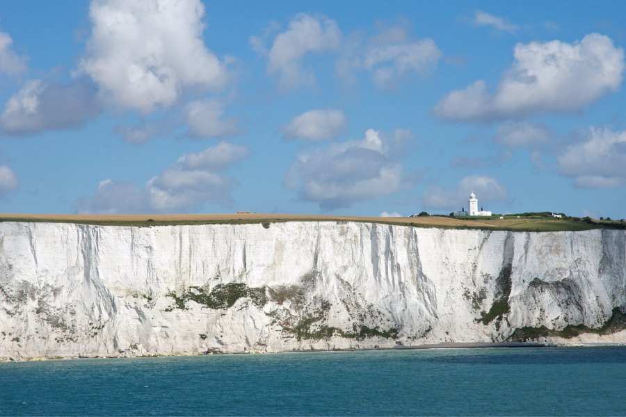 Website Thumbnails (4).png